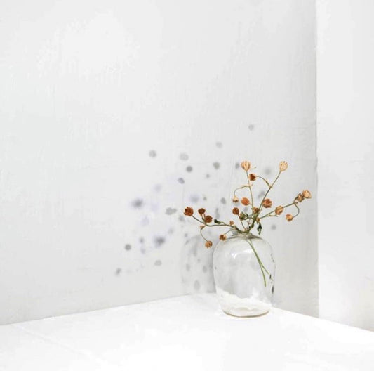 How to Keep Flowers Looking Fresher for Longer